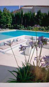 Villa Martine, Nueva Andalucia, Marbella