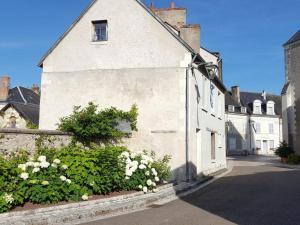 Gîte 18ème avec jardin, jeux, et ateliers cuisine près de lAbbaye de Pontlevoy. - FR-1-491-349