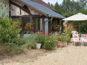 Gîte rustique à Cheverny: nature, tennis, animaux bienvenus, pêche et châteaux de la Loire à proximité - FR-1-491-366 - 谢韦尔尼