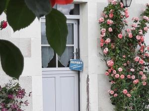 Maison familiale, nature et patrimoine, proche Chenonceaux - jardin, poêle à bois, équipements bébé - FR-1-491-411
