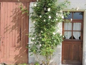 Maisons de vacances Gite Couddes, 3 pieces, 6 personnes - FR-1-491-411 : photos des chambres
