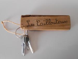 Gîte de charme proche du ZooParc de Beauval - 2 terrasses, jardin, cheminée, clim, parking gratuit - FR-1-491-408