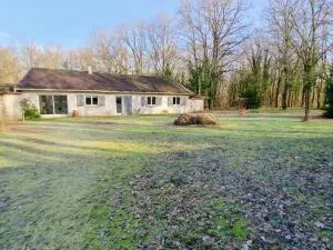 Gîte de charme avec étang en Sologne, tout inclus, proche châteaux de la Loire et randonnées - FR-1-491-418 - Marcilly-en-Gault