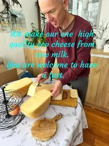 ريفرسايد كاراكول - Dzhetyoguz