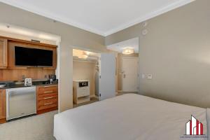 MGM Signature-34-819 F1 Track & Strip View Studio