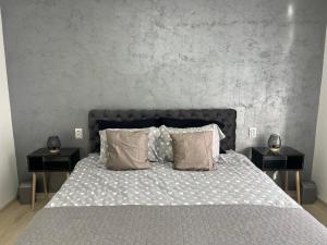 Apartman Central Lux A&D