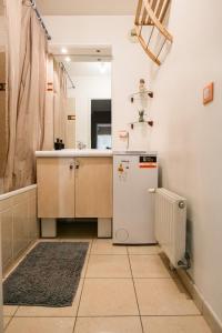 Appartements Spacieux Appart - 11 personnes - Disneyland & Paris : photos des chambres