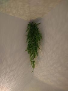 Cozy 2 Bedroom Apartment with Terrace Near the Beach and Park