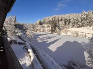 obrázek - Haus am See