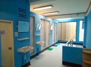 Chiangmai Panda Hostel(2)