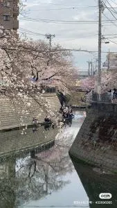 桜川別莊 - Yamato