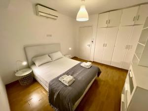 Spacious Apartment in Nicosia Landmark Hotel Area - Stasinou By Platform 357