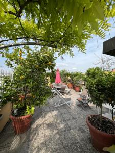 Dream garden city center on subway 10 guest