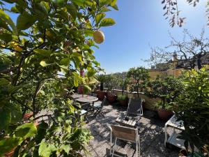 Dream garden city center on subway 10 guest