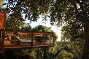 Nature Habitat - Pentati