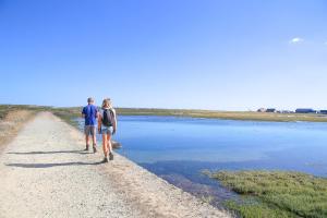 Maisons de vacances Piscine couverte - sauna - Maison pour 9 a Loctudy : photos des chambres