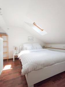 Belvárosi allódium 2.