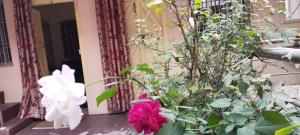 Divine view - 1 bhk AC - Swarna Bhavan