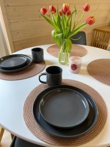 Tinyhouse Frida moderne & stilvolle Auszeit am See Natur & Ruhe in Stuer Mecklenburgische Seenplatte Klima, Grill