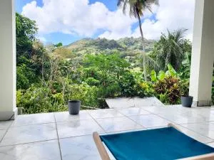 VUE MAGNIFIQUE SUR LA NATURE , proche des plages 4 a 6 PERS - Rivière-Pilote