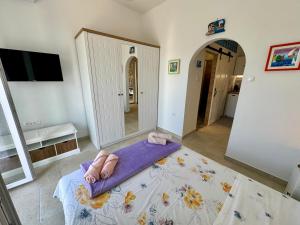 Apatmani Jugo i Bura