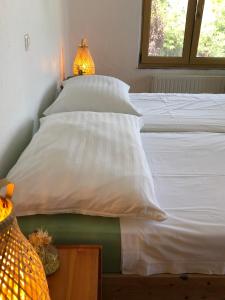 Villa Dagor - Parterrewohnung