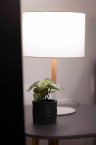 The HostMaster Faedras Haven