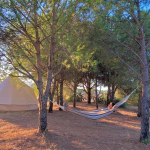 Glamping on Organic Yoga Farm with Natural Swimming Pool near Beach