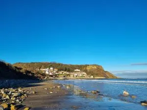 Tulip Cottage Hinderwell, Staithes & Whitby - 3 bedroom - Sleeps 6 - Pet Friendly - Genius - Runswick