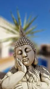 Flamingo Vila Alicante - 圣佩德罗-德尔皮纳塔尔