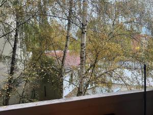 Gemütliche Wohnung in TOP Lage Hannover City