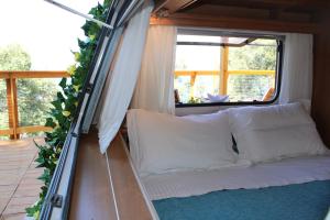Nature Habitat and Artistic Room