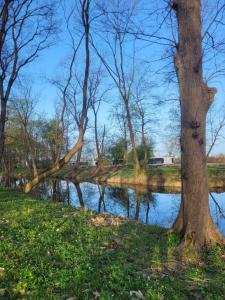 Pałac Wieniawskich & Nowoczesne Domki Glampingowe z Balią & Zabytkowy Park