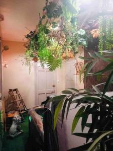 Domaine Les Tourelles 4