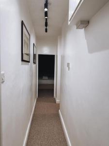 Modern Flat in Central London