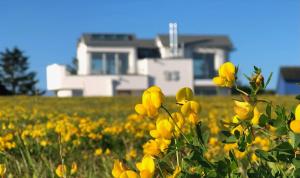 Ferienwohnung Steuerbord