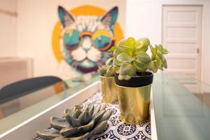 Beautiful Home at Basilca 1-2