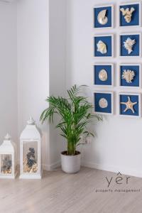 Shell-Charm wSea View & Parking