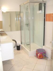 Appartements Appartement CarcaLuxe : photos des chambres