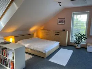 Apartmán pod lesom - Kanianka