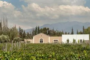 Martino Wines Air B&B - Lunlunta