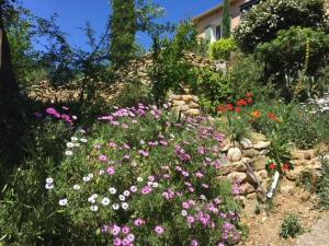 Gîte avec piscine Mes Vacances en Provence à Beaumes de Venise