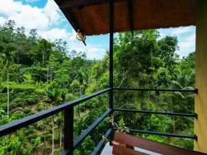 Sunshine Forest Lodge - Sinharaja - Pitabeddera