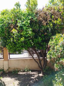 Chalet con JARDIN PUY DU FOU a 10 min ,NO FIESTAS!!