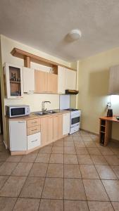 Big Apartment by the Adriatic Sea