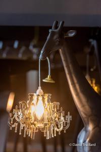 Suites MANA - Cupidon avec superbe vue Place Ducale Parking inclus