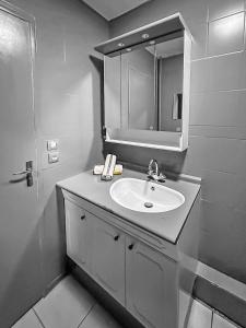 Appartements Appartement Lumineux a Saint-Herblain : photos des chambres