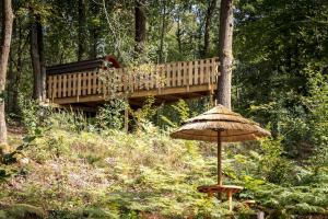 Campings Camping Lac des Vieilles Forges : photos des chambres
