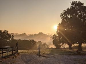 Maisons d'hotes Le Moulin du Fresne, chambres d-hotes : photos des chambres