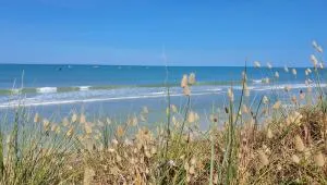 Maison de plage la grise brèche - Pirou